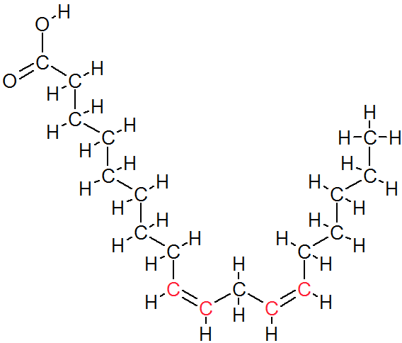 リノール酸