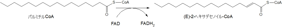 (E)-2-ヘキサデセノイル-CoA