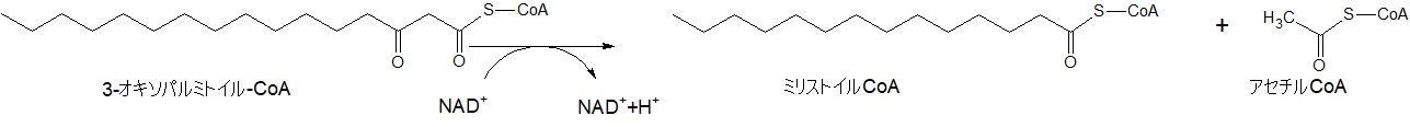 Myristoyl CoA