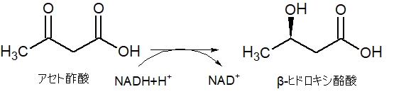 β-ヒドロキシ酪酸