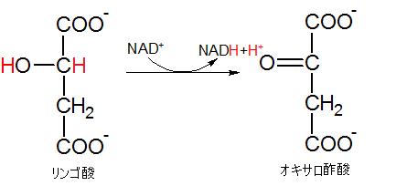 オキサロ酢酸