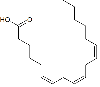 γリノレン酸