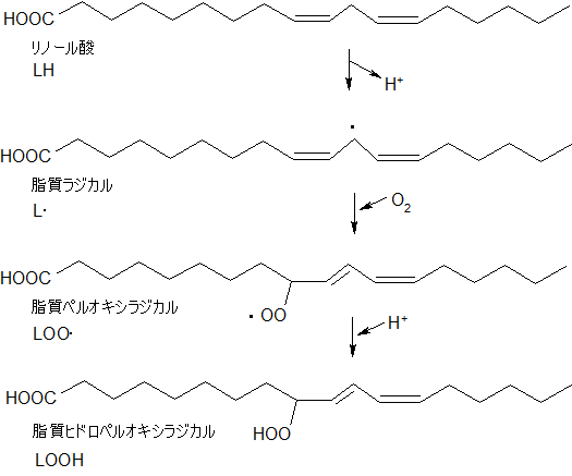 リノール酸の過酸化