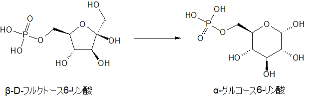α-D-グルコース6-リン酸