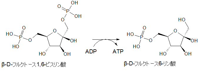 β-D-フルクトース6-リン酸