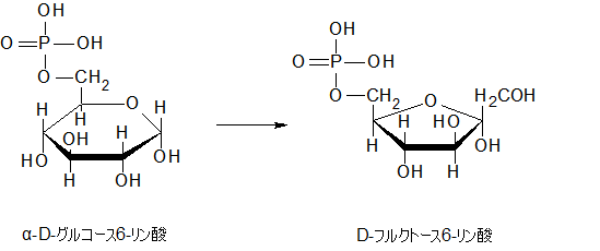 D-フルクトース6-リン酸