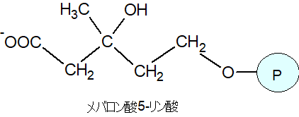 メバロン酸5-リン酸