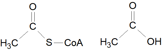 アセチルCoAと酢酸