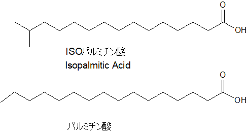 イソパルミチン酸