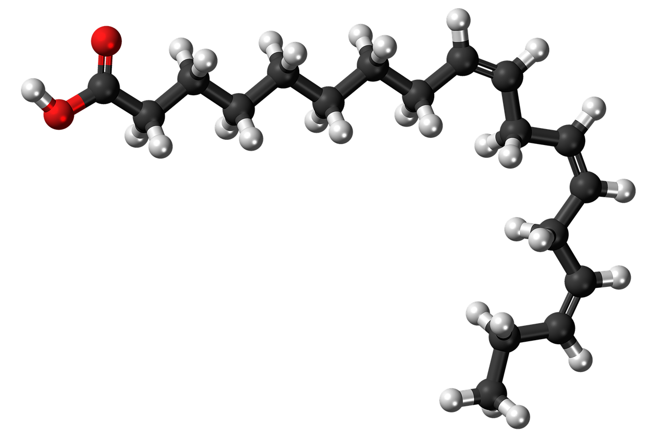 α-リノレン酸